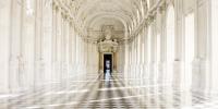 Palace of Venaria