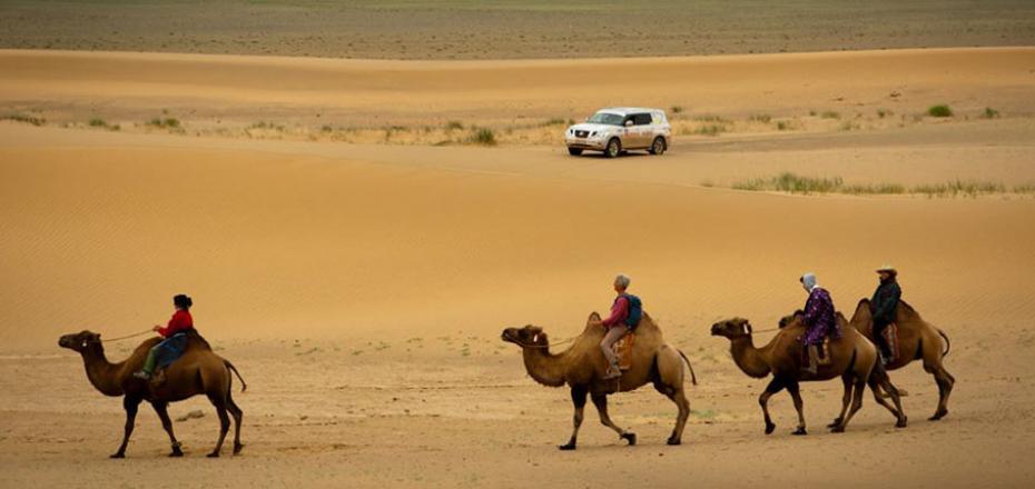 Camel Riding