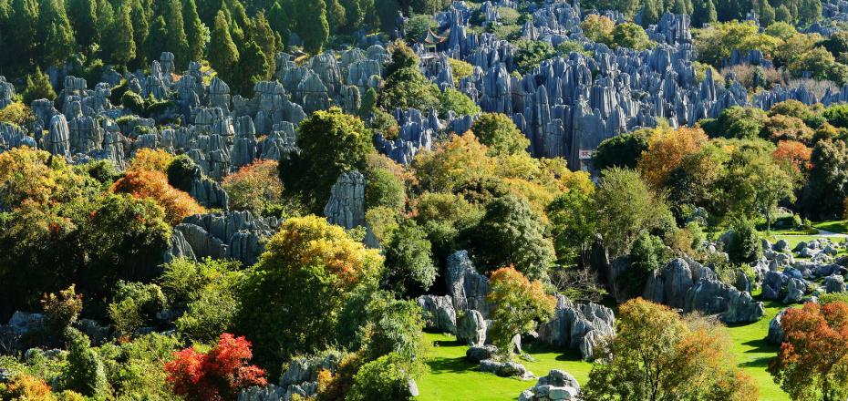 Kunming - Stone Forest