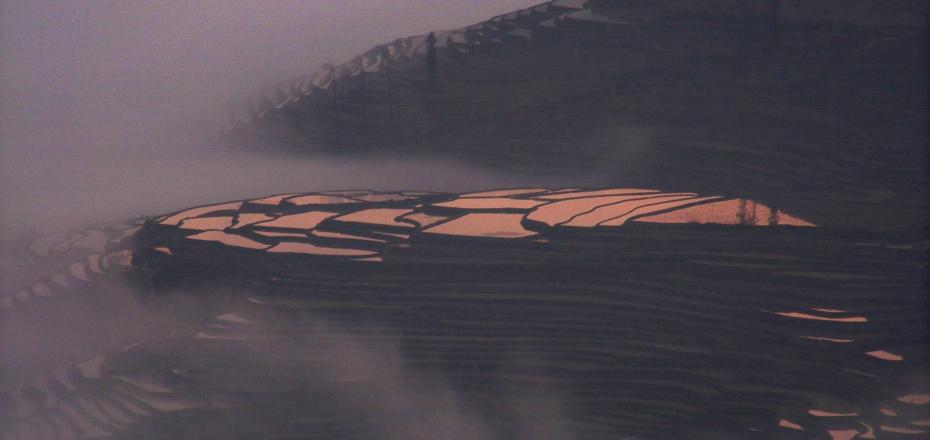 Duoyishu Rice Terrace